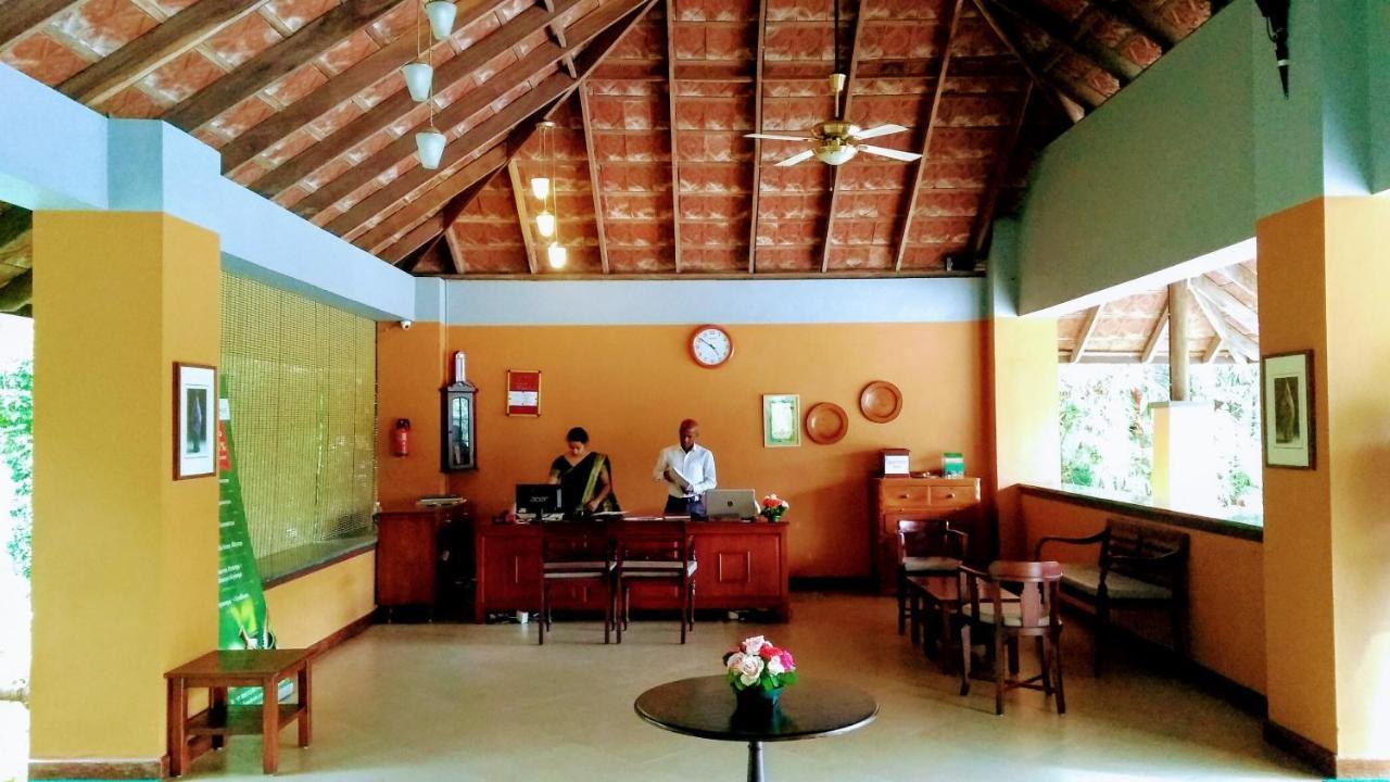 Abad Green Forest Thekkady Kumily Zewnętrze zdjęcie