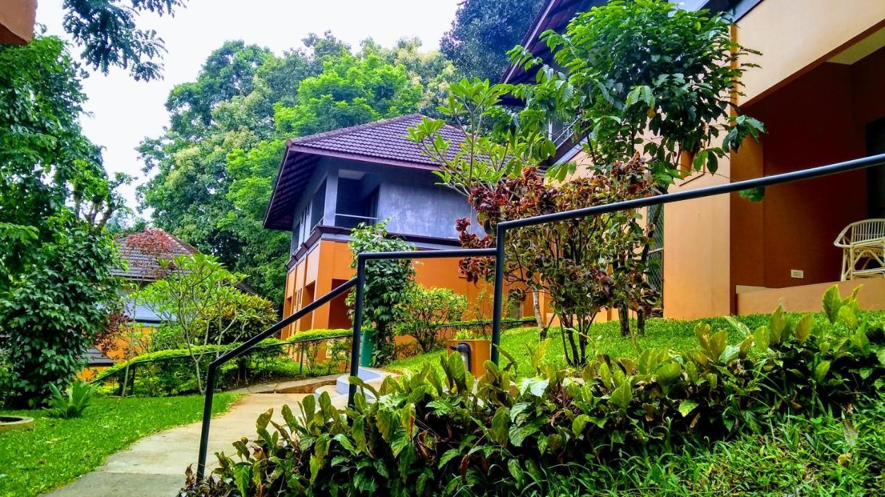 Abad Green Forest Thekkady Kumily Zewnętrze zdjęcie